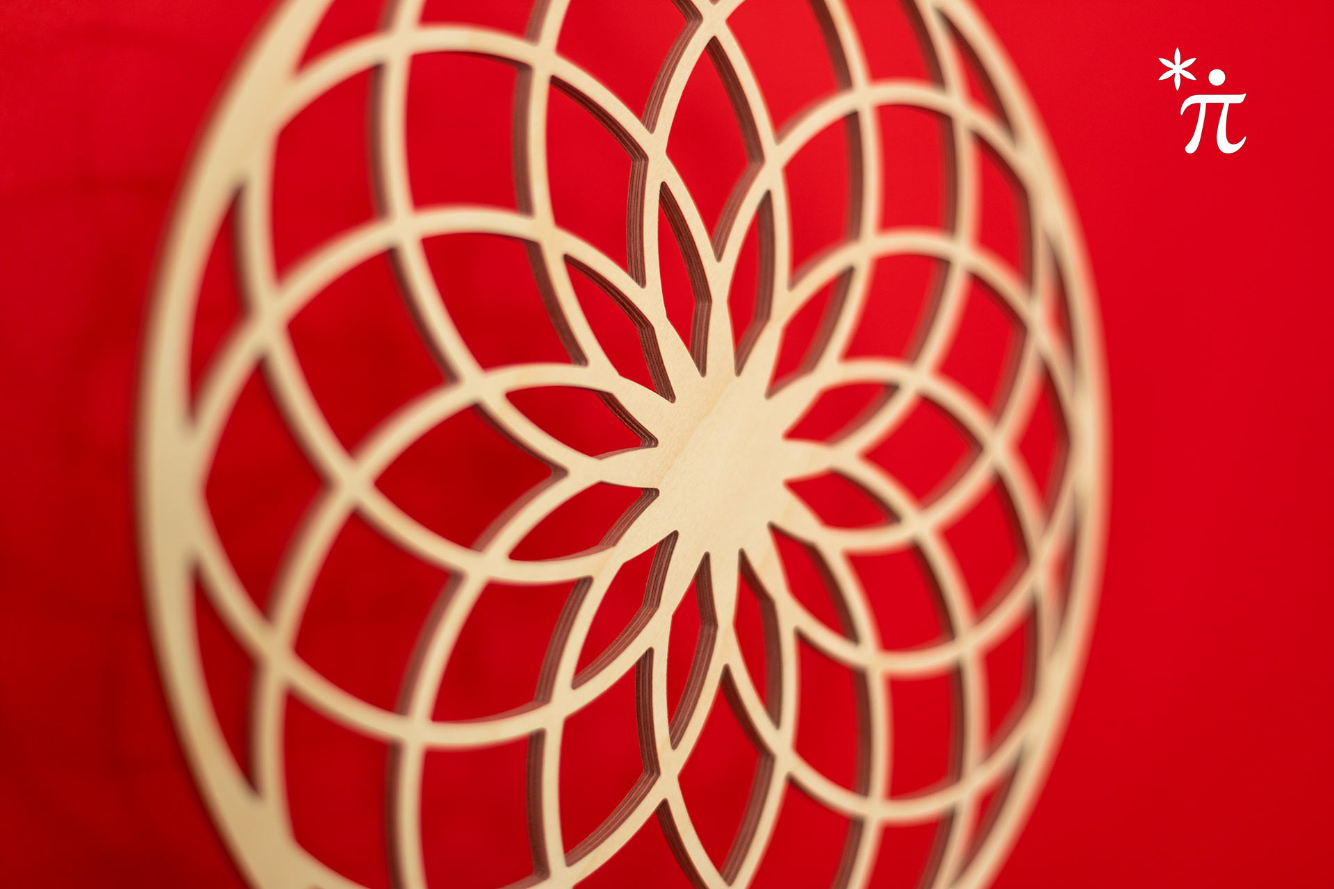 Torus Blume des Lebens aus Holz Detail vor roter Wand