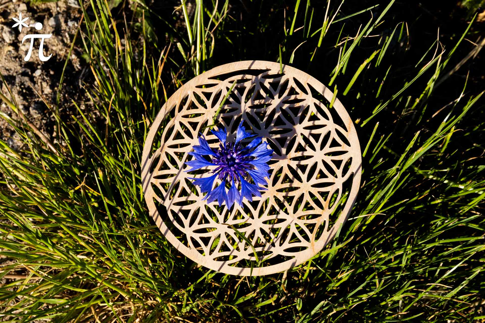 Blume des Lebens aus Holz 13cm im Gras mit blauer Bluete